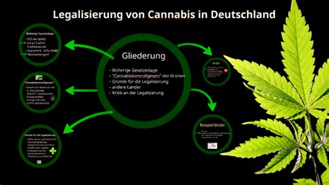 cannabis gesetzgebung in deutschland